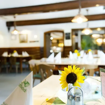 Гостевой дом Hoftaverne Ziegelboeck 2*